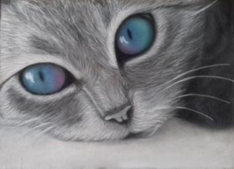 Cat_BIG.png