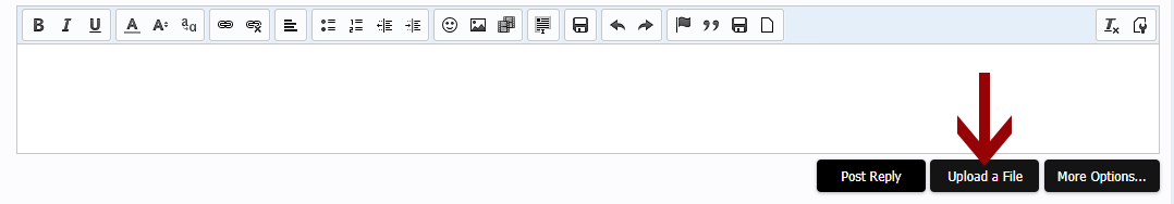 Untitled-1.png