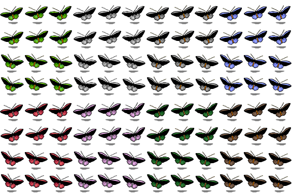 Butterflies.png