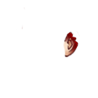 FG_Ears_p09_c1_m001.png