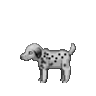Dog preview.gif